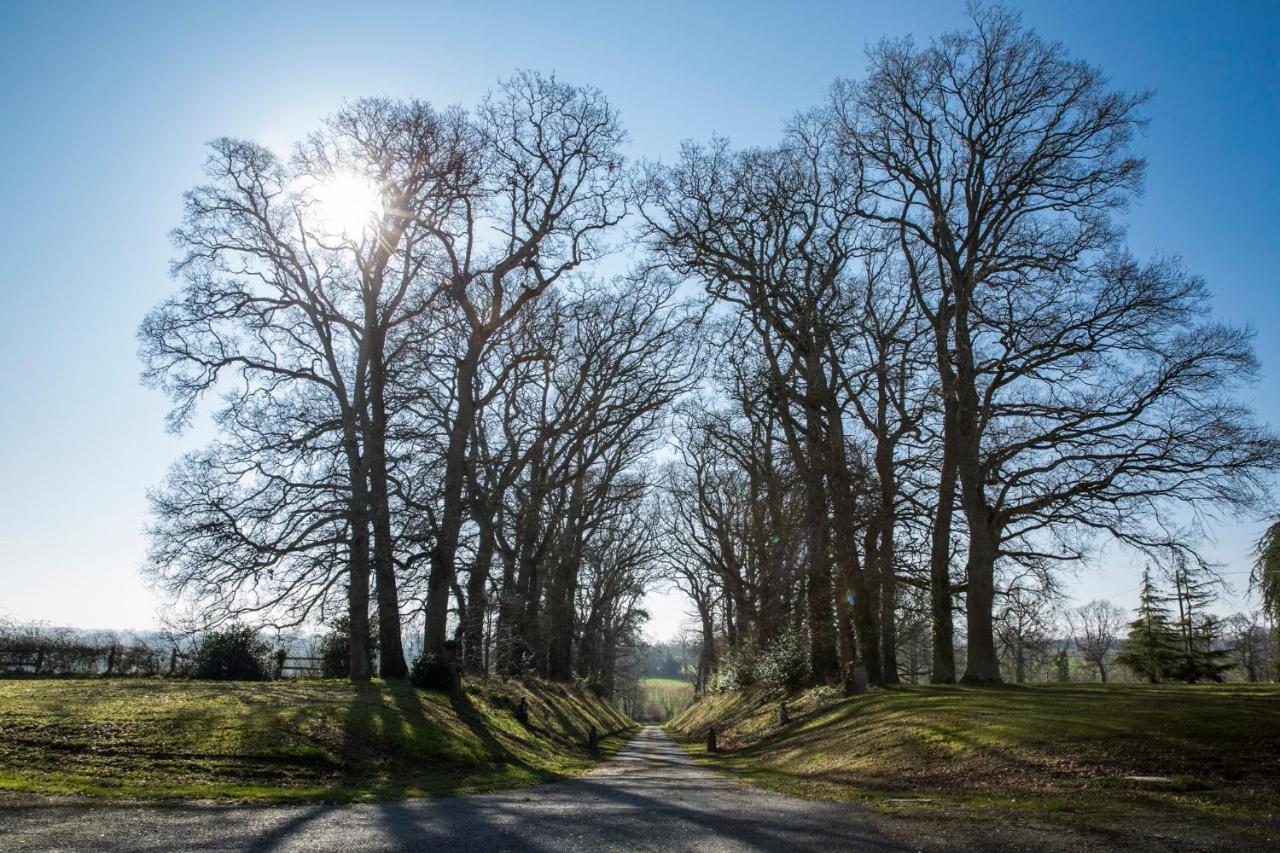 Chateau Des Monts Barbeville Eksteriør bilde